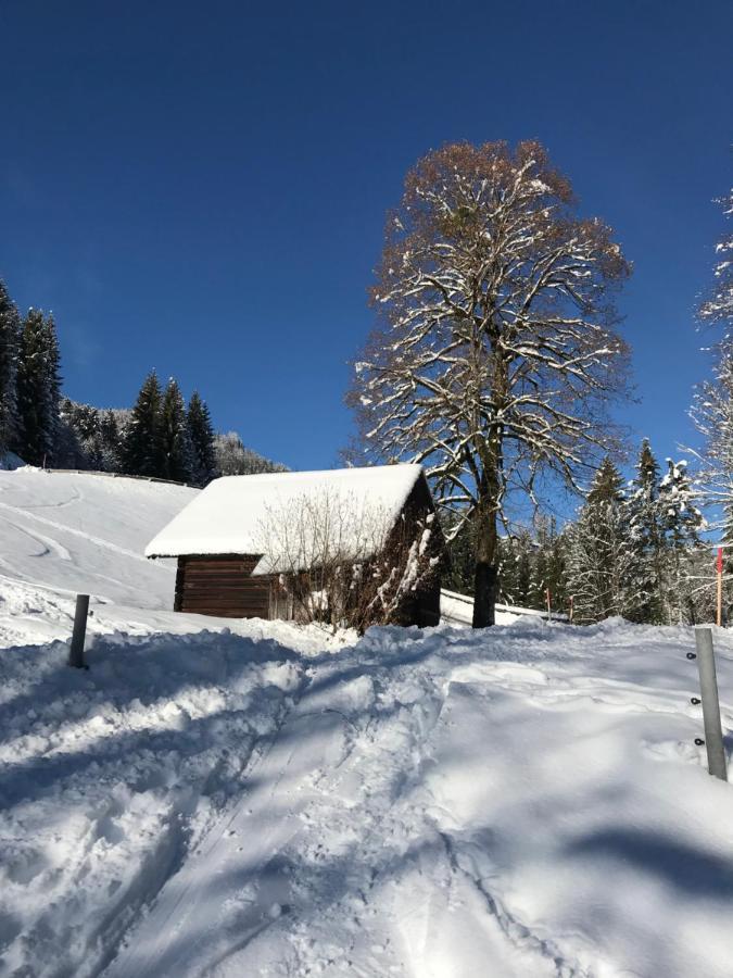 Kaiserblick Goisern Appartement *