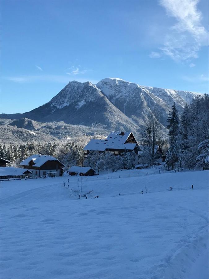 Kaiserblick Goisern Appartement *