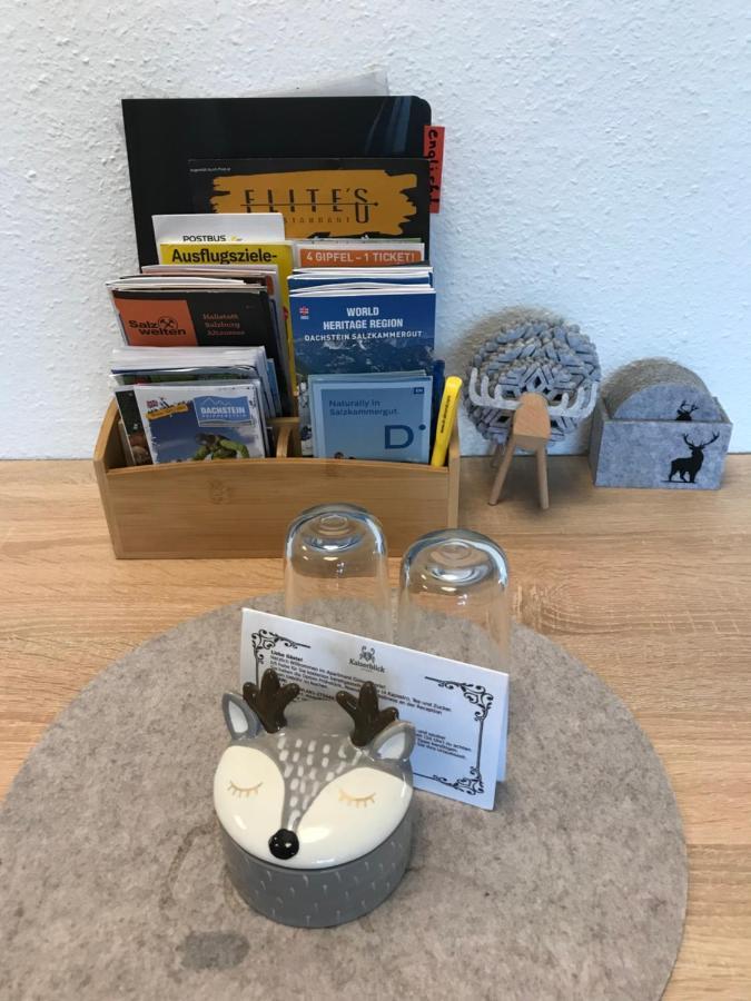Kaiserblick Goisern Appartement